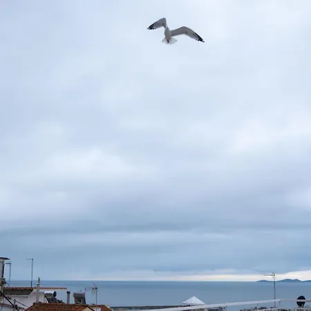 A Beautiful House In